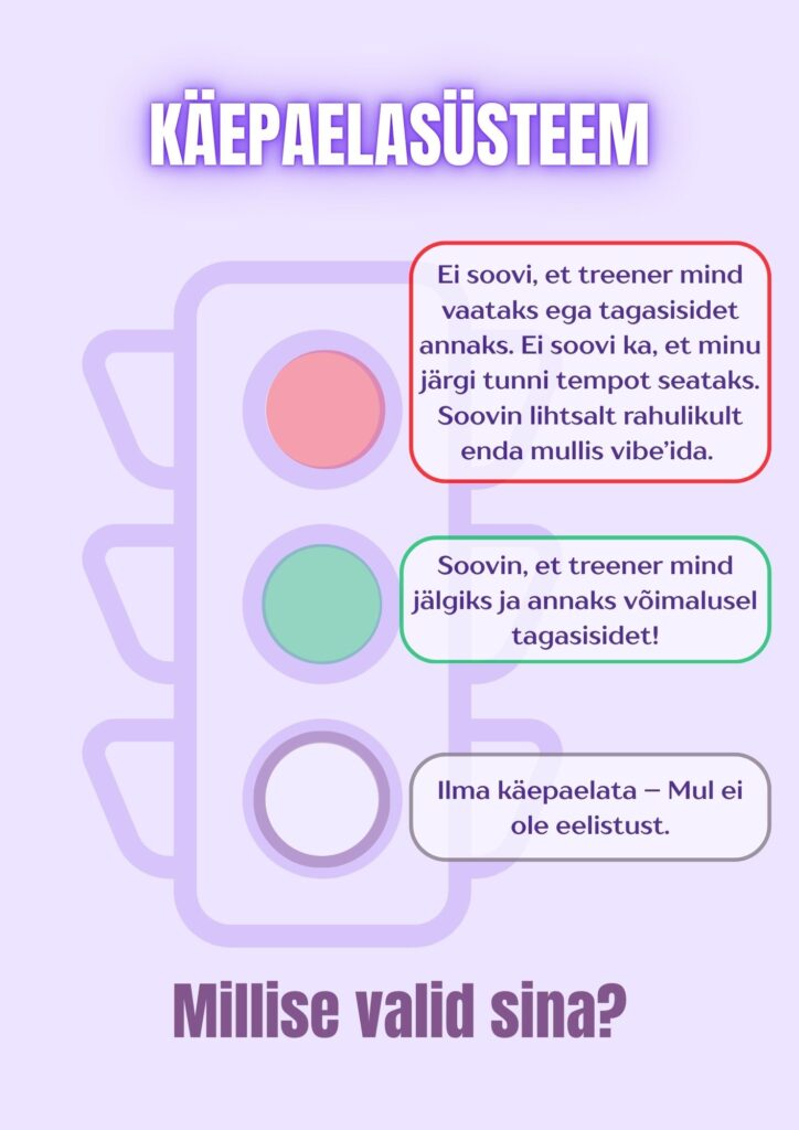 Käepaelasüsteemi kirjeldav pilt